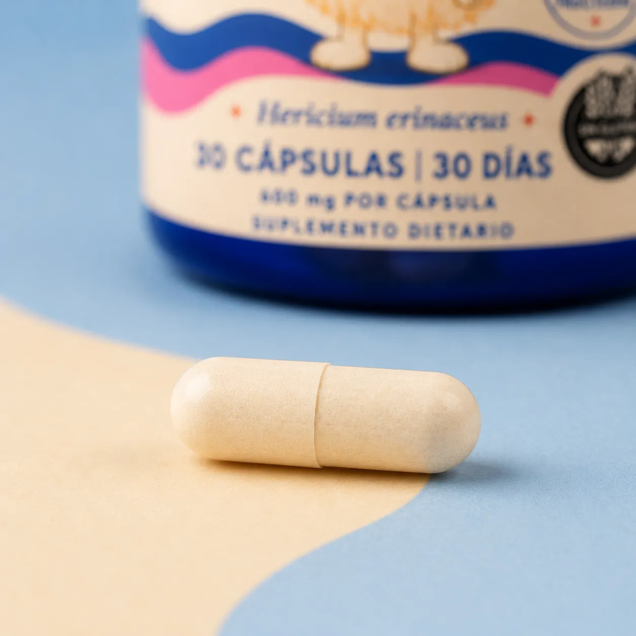 Cápsula vegetal de Fungilandia en detalle
